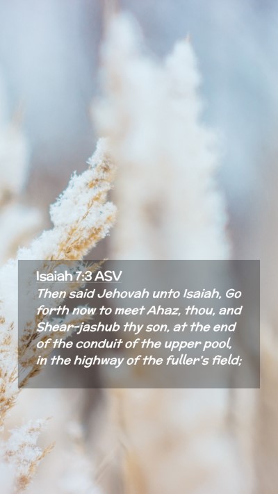 Picture 02 - Isaiah 7:3 ASV Mobile Phone Wallpaper - Then said Jehovah unto Isaiah, Go forth now to - Mobile Bible Verse Wallpaper