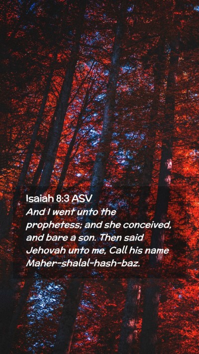 Picture 02 - Isaiah 8:3 ASV Mobile Phone Wallpaper - And I went unto the prophetess; and she - Mobile Bible Verse Wallpaper