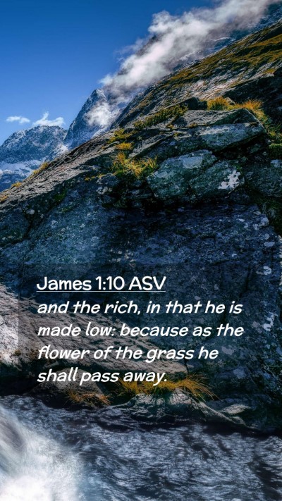 Picture 02 - James 1:10 ASV Mobile Phone Wallpaper - and the rich, in that he is made low: because as - Mobile Bible Verse Wallpaper