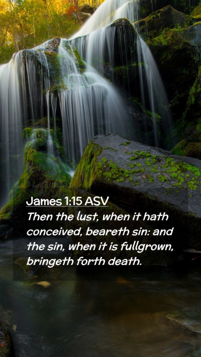 Picture 02 - James 1:15 ASV Mobile Phone Wallpaper - Then the lust, when it hath conceived, beareth - Mobile Bible Verse Wallpaper