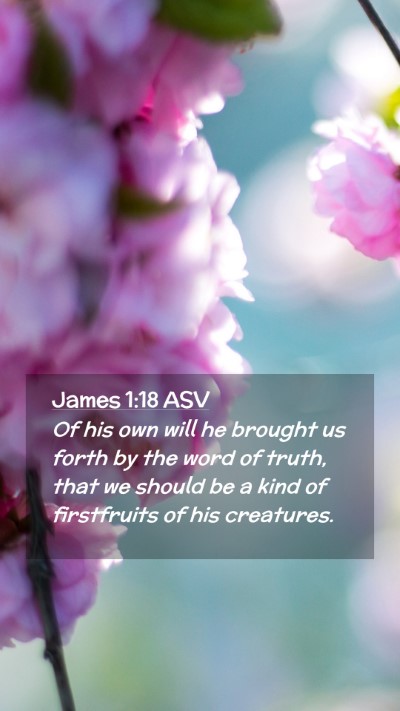 Picture 02 - James 1:18 ASV Mobile Phone Wallpaper - Of his own will he brought us forth by the word - Mobile Bible Verse Wallpaper