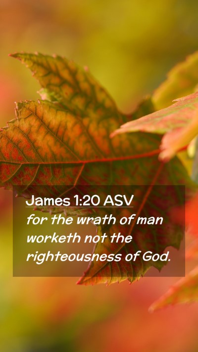 Picture 02 - James 1:20 ASV Mobile Phone Wallpaper - for the wrath of man worketh not the - Mobile Bible Verse Wallpaper