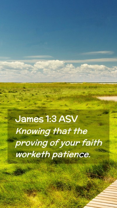 Picture 02 - James 1:3 ASV Mobile Phone Wallpaper - Knowing that the proving of your faith worketh - Mobile Bible Verse Wallpaper