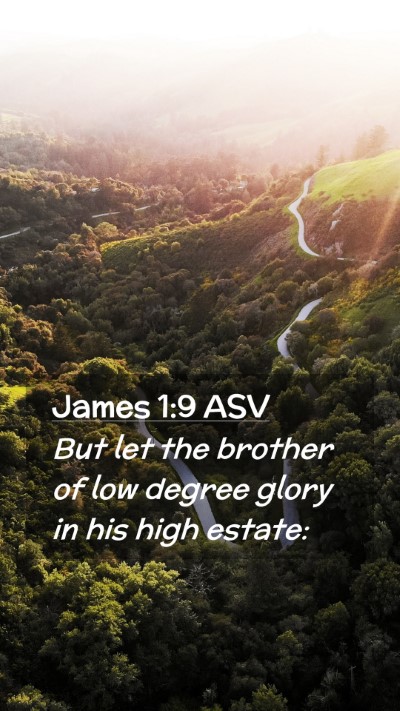 Picture 02 - James 1:9 ASV Mobile Phone Wallpaper - But let the brother of low degree glory in his - Mobile Bible Verse Wallpaper