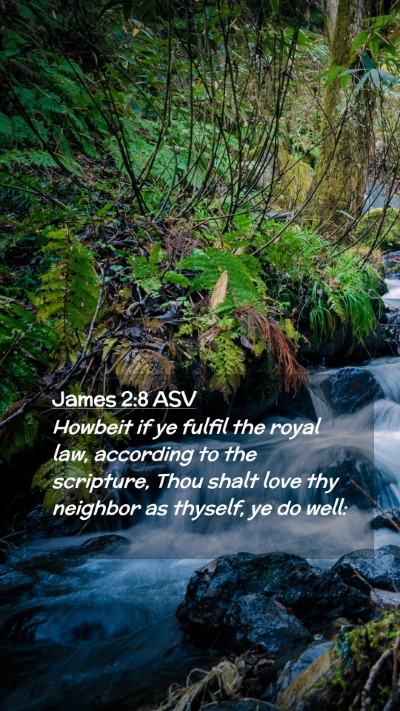 Picture 02 - James 2:8 ASV Mobile Phone Wallpaper - Howbeit if ye fulfil the royal law, according to - Mobile Bible Verse Wallpaper