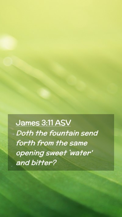 Picture 02 - James 3:11 ASV Mobile Phone Wallpaper - Doth the fountain send forth from the same - Mobile Bible Verse Wallpaper