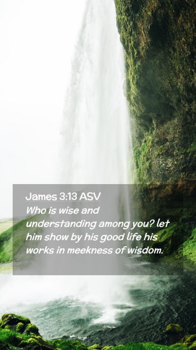 Picture 02 - James 3:13 ASV Mobile Phone Wallpaper - Who is wise and understanding among you? let him - Mobile Bible Verse Wallpaper