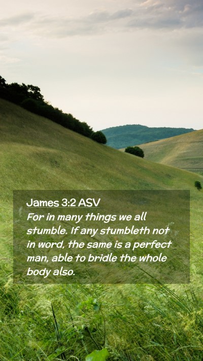 Picture 02 - James 3:2 ASV Mobile Phone Wallpaper - For in many things we all stumble. If any - Mobile Bible Verse Wallpaper