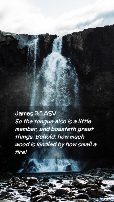 Picture 02 - James 3:5 ASV Mobile Phone Wallpaper - So the tongue also is a little member, and - Mobile Bible Verse Wallpaper