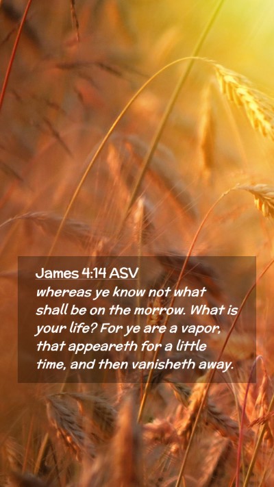 Picture 02 - James 4:14 ASV Mobile Phone Wallpaper - whereas ye know not what shall be on the morrow. - Mobile Bible Verse Wallpaper