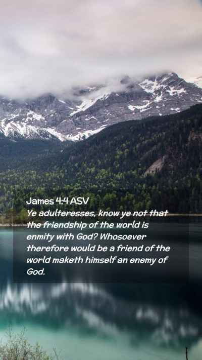 Picture 02 - James 4:4 ASV Mobile Phone Wallpaper - Ye adulteresses, know ye not that the friendship - Mobile Bible Verse Wallpaper