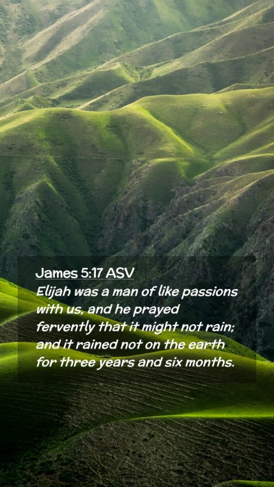 Picture 02 - James 5:17 ASV Mobile Phone Wallpaper - Elijah was a man of like passions with us, and he - Mobile Bible Verse Wallpaper