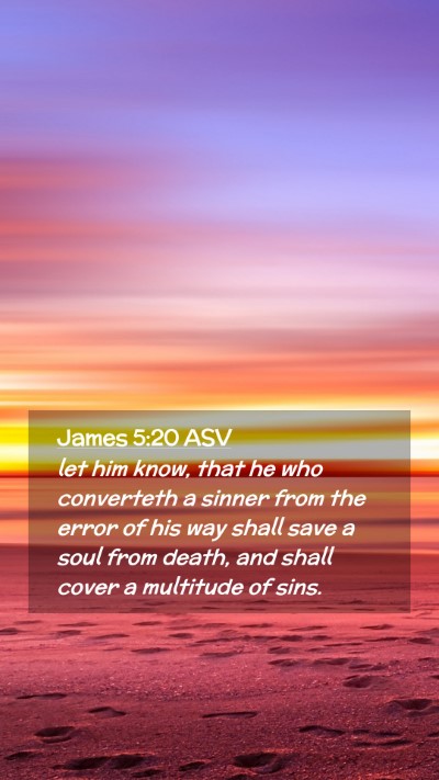 Picture 02 - James 5:20 ASV Mobile Phone Wallpaper - let him know, that he who converteth a sinner - Mobile Bible Verse Wallpaper