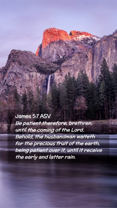 Picture 02 - James 5:7 ASV Mobile Phone Wallpaper - Be patient therefore, brethren, until the coming - Mobile Bible Verse Wallpaper
