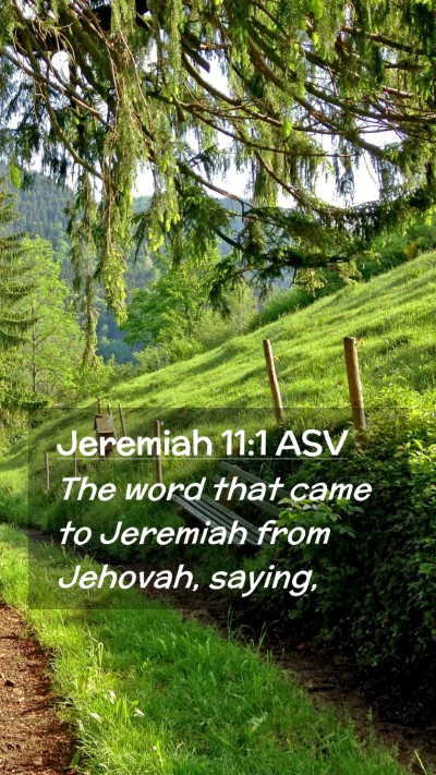 Picture 02 - Jeremiah 11:1 ASV Mobile Phone Wallpaper - The word that came to Jeremiah from Jehovah, - Mobile Bible Verse Wallpaper