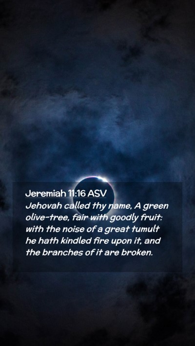 Picture 02 - Jeremiah 11:16 ASV Mobile Phone Wallpaper - Jehovah called thy name, A green olive-tree, fair - Mobile Bible Verse Wallpaper