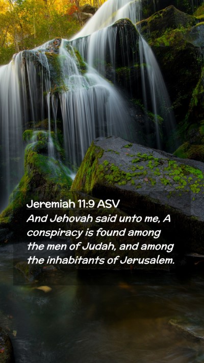 Picture 02 - Jeremiah 11:9 ASV Mobile Phone Wallpaper - And Jehovah said unto me, A conspiracy is found - Mobile Bible Verse Wallpaper
