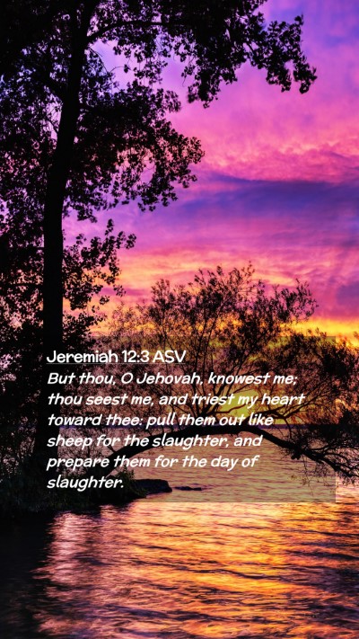 Picture 02 - Jeremiah 12:3 ASV Mobile Phone Wallpaper - But thou, O Jehovah, knowest me; thou seest me, - Mobile Bible Verse Wallpaper