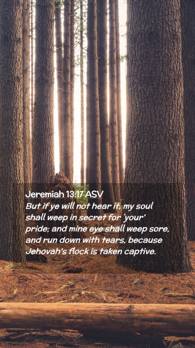 Picture 02 - Jeremiah 13:17 ASV Mobile Phone Wallpaper - But if ye will not hear it, my soul shall weep in - Mobile Bible Verse Wallpaper