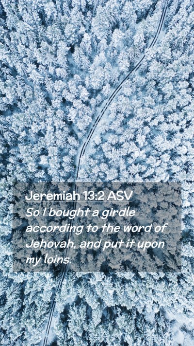 Picture 02 - Jeremiah 13:2 ASV Mobile Phone Wallpaper - So I bought a girdle according to the word of - Mobile Bible Verse Wallpaper