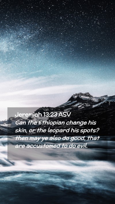 Picture 02 - Jeremiah 13:23 ASV Mobile Phone Wallpaper - Can the Ethiopian change his skin, or the leopard - Mobile Bible Verse Wallpaper