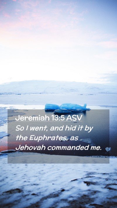 Picture 02 - Jeremiah 13:5 ASV Mobile Phone Wallpaper - So I went, and hid it by the Euphrates, as - Mobile Bible Verse Wallpaper