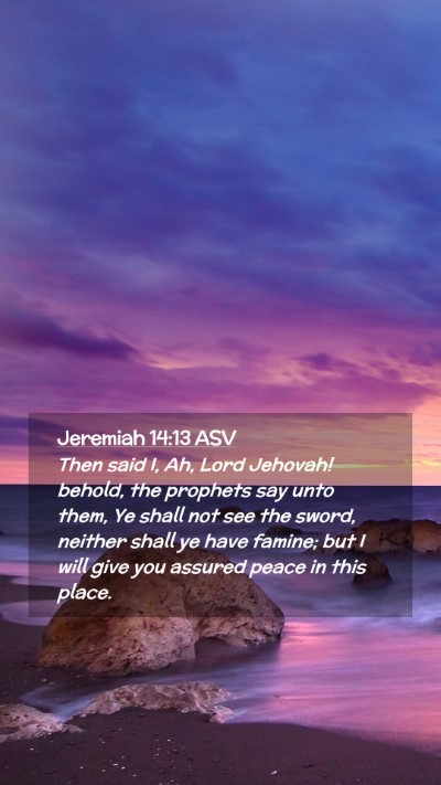 Picture 02 - Jeremiah 14:13 ASV Mobile Phone Wallpaper - Then said I, Ah, Lord Jehovah! behold, the - Mobile Bible Verse Wallpaper