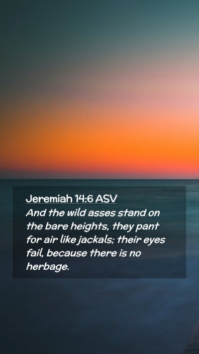Picture 02 - Jeremiah 14:6 ASV Mobile Phone Wallpaper - And the wild asses stand on the bare heights, - Mobile Bible Verse Wallpaper