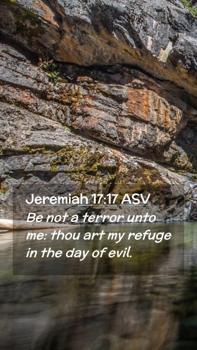Picture 02 - Jeremiah 17:17 ASV Mobile Phone Wallpaper - Be not a terror unto me: thou art my refuge in - Mobile Bible Verse Wallpaper