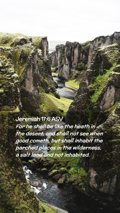 Picture 02 - Jeremiah 17:6 ASV Mobile Phone Wallpaper - For he shall be like the heath in the desert, and - Mobile Bible Verse Wallpaper