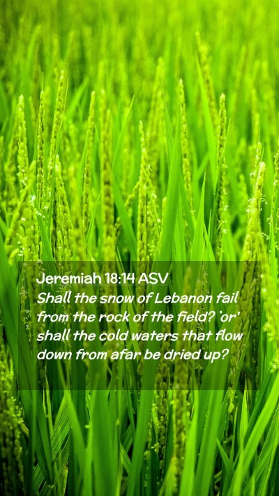 Picture 02 - Jeremiah 18:14 ASV Mobile Phone Wallpaper - Shall the snow of Lebanon fail from the rock of - Mobile Bible Verse Wallpaper