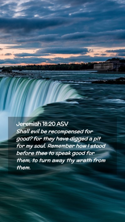 Picture 02 - Jeremiah 18:20 ASV Mobile Phone Wallpaper - Shall evil be recompensed for good? for they have - Mobile Bible Verse Wallpaper