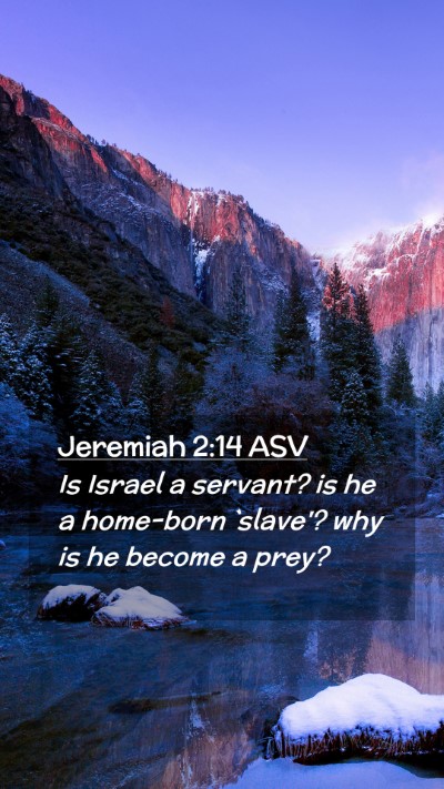Picture 02 - Jeremiah 2:14 ASV Mobile Phone Wallpaper - Is Israel a servant? is he a home-born `slave'? - Mobile Bible Verse Wallpaper