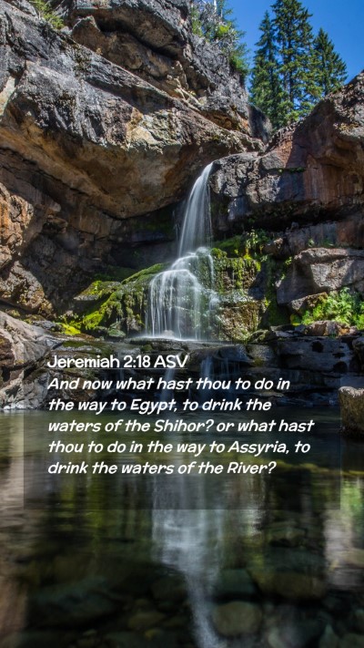 Picture 02 - Jeremiah 2:18 ASV Mobile Phone Wallpaper - And now what hast thou to do in the way to Egypt, - Mobile Bible Verse Wallpaper