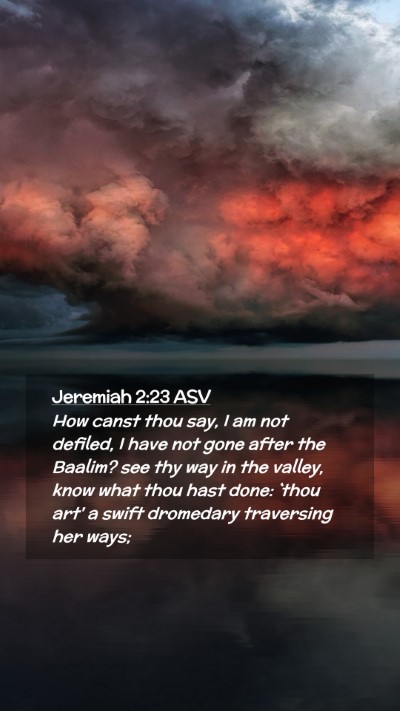 Picture 02 - Jeremiah 2:23 ASV Mobile Phone Wallpaper - How canst thou say, I am not defiled, I have not - Mobile Bible Verse Wallpaper