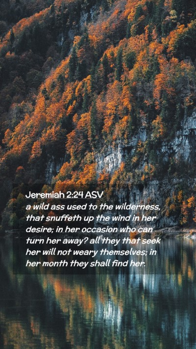Picture 02 - Jeremiah 2:24 ASV Mobile Phone Wallpaper - a wild ass used to the wilderness, that snuffeth - Mobile Bible Verse Wallpaper