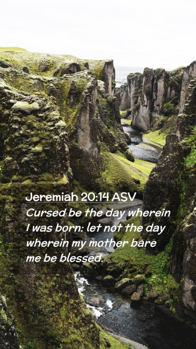Picture 02 - Jeremiah 20:14 ASV Mobile Phone Wallpaper - Cursed be the day wherein I was born: let not the - Mobile Bible Verse Wallpaper