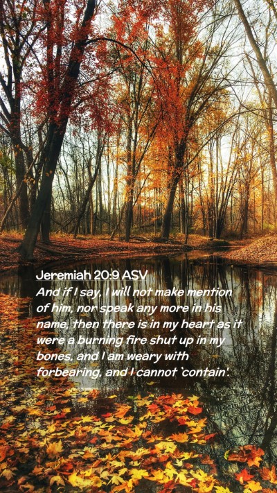 Picture 02 - Jeremiah 20:9 ASV Mobile Phone Wallpaper - And if I say, I will not make mention of him, nor - Mobile Bible Verse Wallpaper