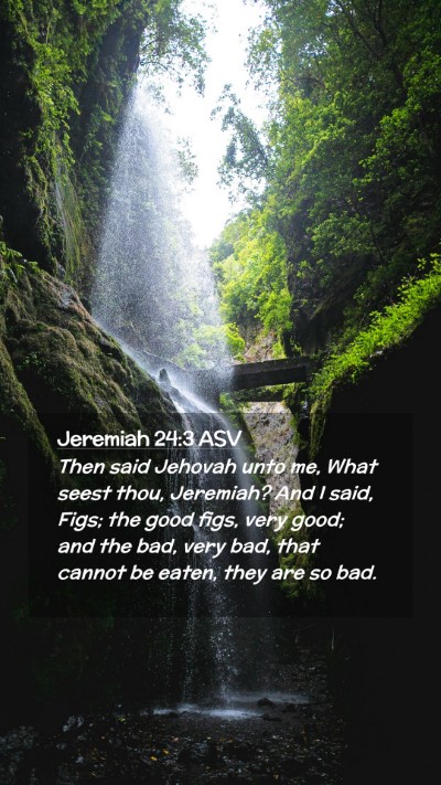 Picture 02 - Jeremiah 24:3 ASV Mobile Phone Wallpaper - Then said Jehovah unto me, What seest thou, - Mobile Bible Verse Wallpaper