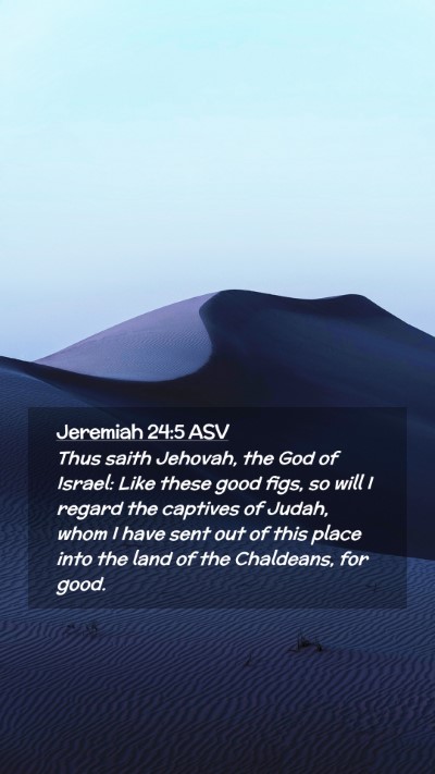 Picture 02 - Jeremiah 24:5 ASV Mobile Phone Wallpaper - Thus saith Jehovah, the God of Israel: Like these - Mobile Bible Verse Wallpaper