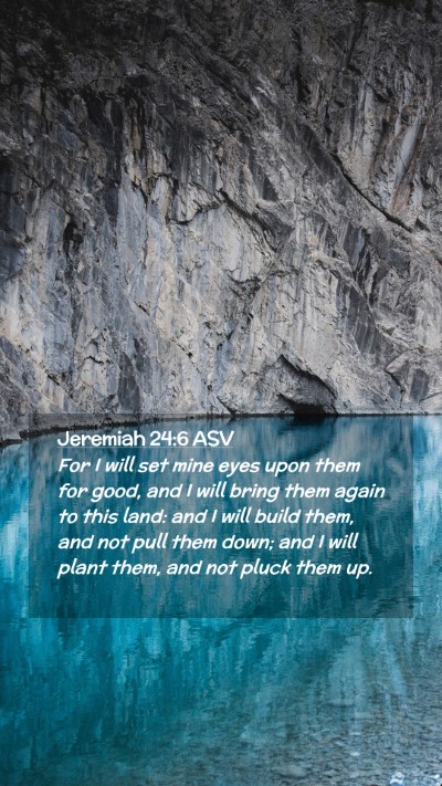 Picture 02 - Jeremiah 24:6 ASV Mobile Phone Wallpaper - For I will set mine eyes upon them for good, and - Mobile Bible Verse Wallpaper
