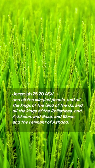 Picture 02 - Jeremiah 25:20 ASV Mobile Phone Wallpaper - and all the mingled people, and all the kings of - Mobile Bible Verse Wallpaper
