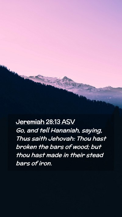 Picture 02 - Jeremiah 28:13 ASV Mobile Phone Wallpaper - Go, and tell Hananiah, saying, Thus saith - Mobile Bible Verse Wallpaper