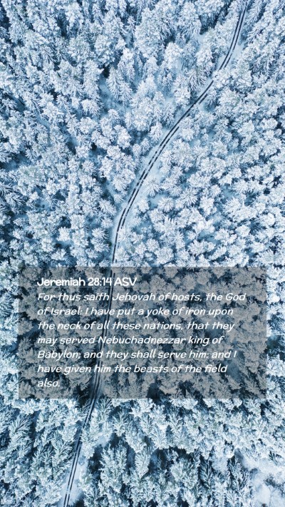 Picture 02 - Jeremiah 28:14 ASV Mobile Phone Wallpaper - For thus saith Jehovah of hosts, the God of - Mobile Bible Verse Wallpaper