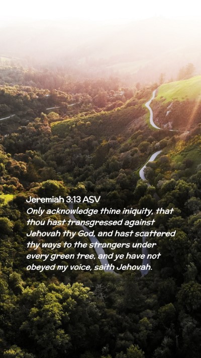 Picture 02 - Jeremiah 3:13 ASV Mobile Phone Wallpaper - Only acknowledge thine iniquity, that thou hast - Mobile Bible Verse Wallpaper