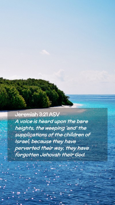 Picture 02 - Jeremiah 3:21 ASV Mobile Phone Wallpaper - A voice is heard upon the bare heights, the - Mobile Bible Verse Wallpaper