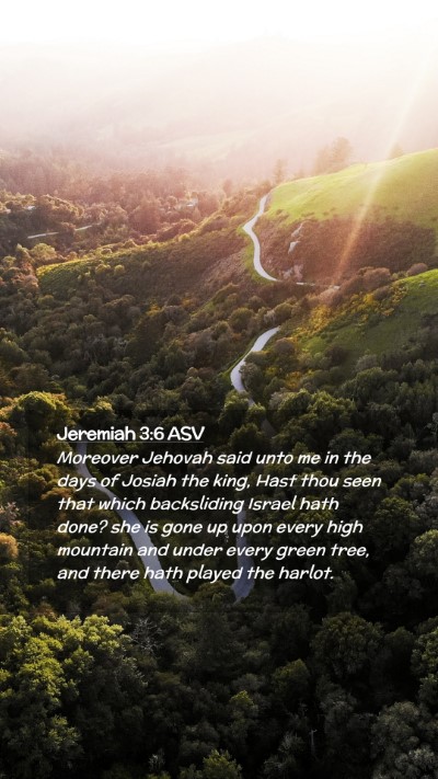 Picture 02 - Jeremiah 3:6 ASV Mobile Phone Wallpaper - Moreover Jehovah said unto me in the days of - Mobile Bible Verse Wallpaper
