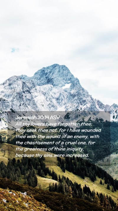 Picture 02 - Jeremiah 30:14 ASV Mobile Phone Wallpaper - All thy lovers have forgotten thee; they seek - Mobile Bible Verse Wallpaper