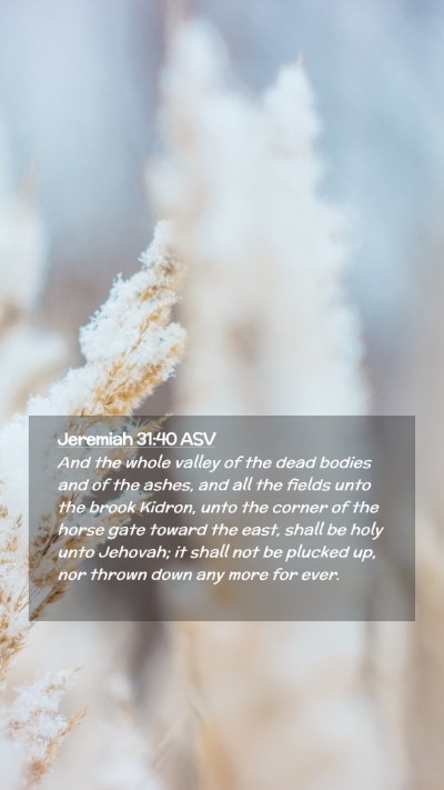 Picture 02 - Jeremiah 31:40 ASV Mobile Phone Wallpaper - And the whole valley of the dead bodies and of - Mobile Bible Verse Wallpaper