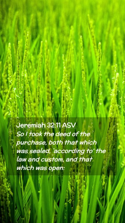 Picture 02 - Jeremiah 32:11 ASV Mobile Phone Wallpaper - So I took the deed of the purchase, both that - Mobile Bible Verse Wallpaper